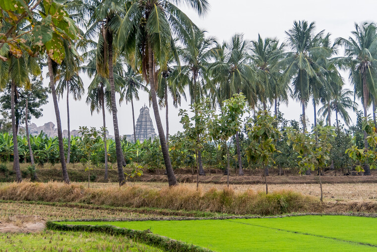 India 2014 - Hampi 095.jpg